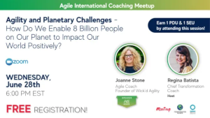 Agility and Planetary Challenges