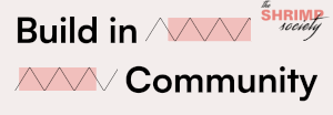 Build Nights - Build, Create, And Ship In Community - The Shrimp Society