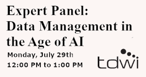 TDWI: Expert Panel: Data Management in the Age of AI (July 29th)