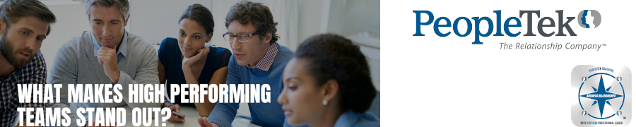 What Makes High Performing Teams Stand Out?