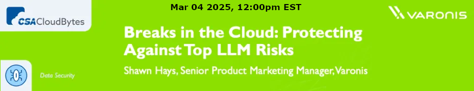 Breaks in the Cloud: Protecting Against Top LLM Risks (March 4th)