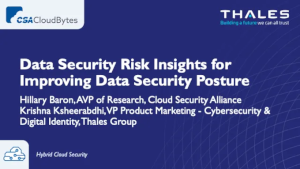 Data Security Risk Insights for Improving Data Security Posture (April 30th)