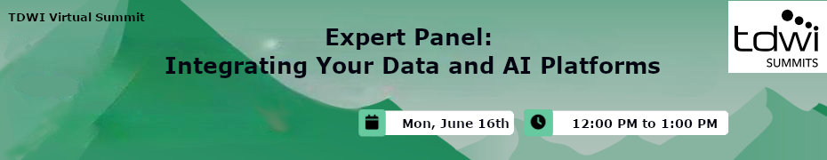 Expert Panel: Integrating Your Data and AI Platforms (June 16th)