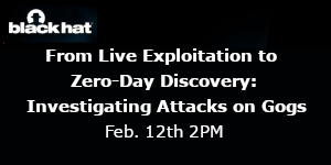 From Live Exploitation to Zero-Day Discovery: Investigating Attacks on Gogs (Feb. 12th)