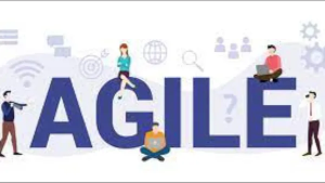 Agile Agile And Agile - Do We Understand What Is 'Agile'?