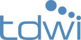 Building Agentic and Generative AI: Enterprise Data Foundations and Applications - Insights from TDWI's Q1 Blueprint Report (March 23rd)