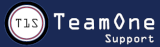 TeamOne.Support Help Desk Services